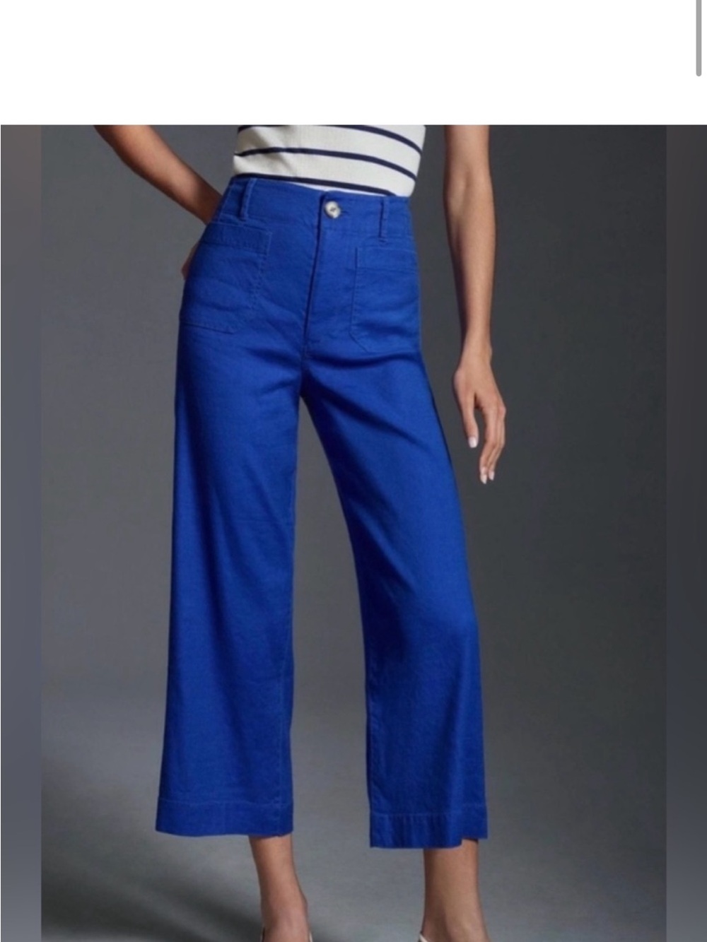 Anthropologie Colette Cobalt Wide-Leg Cropped Pants- size 30 long